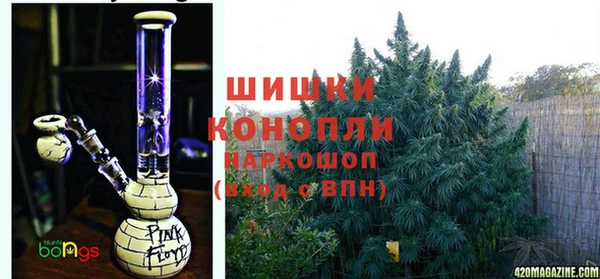 шишки Алексин