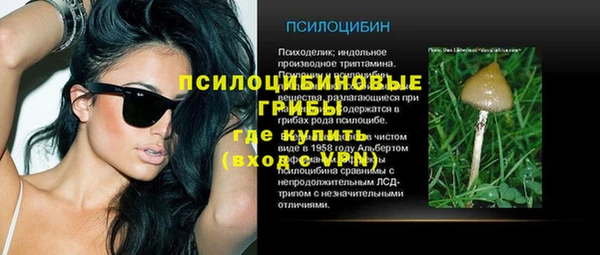 кокс Липки