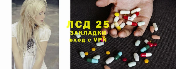 шишки Алексин