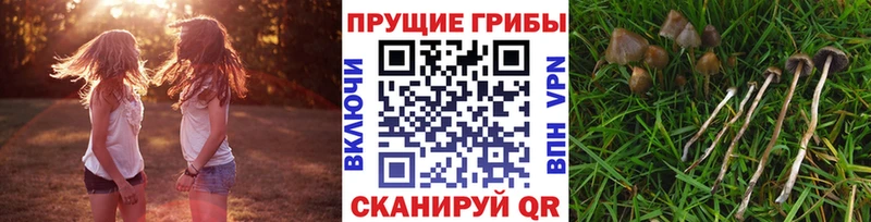 Галлюциногенные грибы мухоморы  МЕГА как войти  Александров 